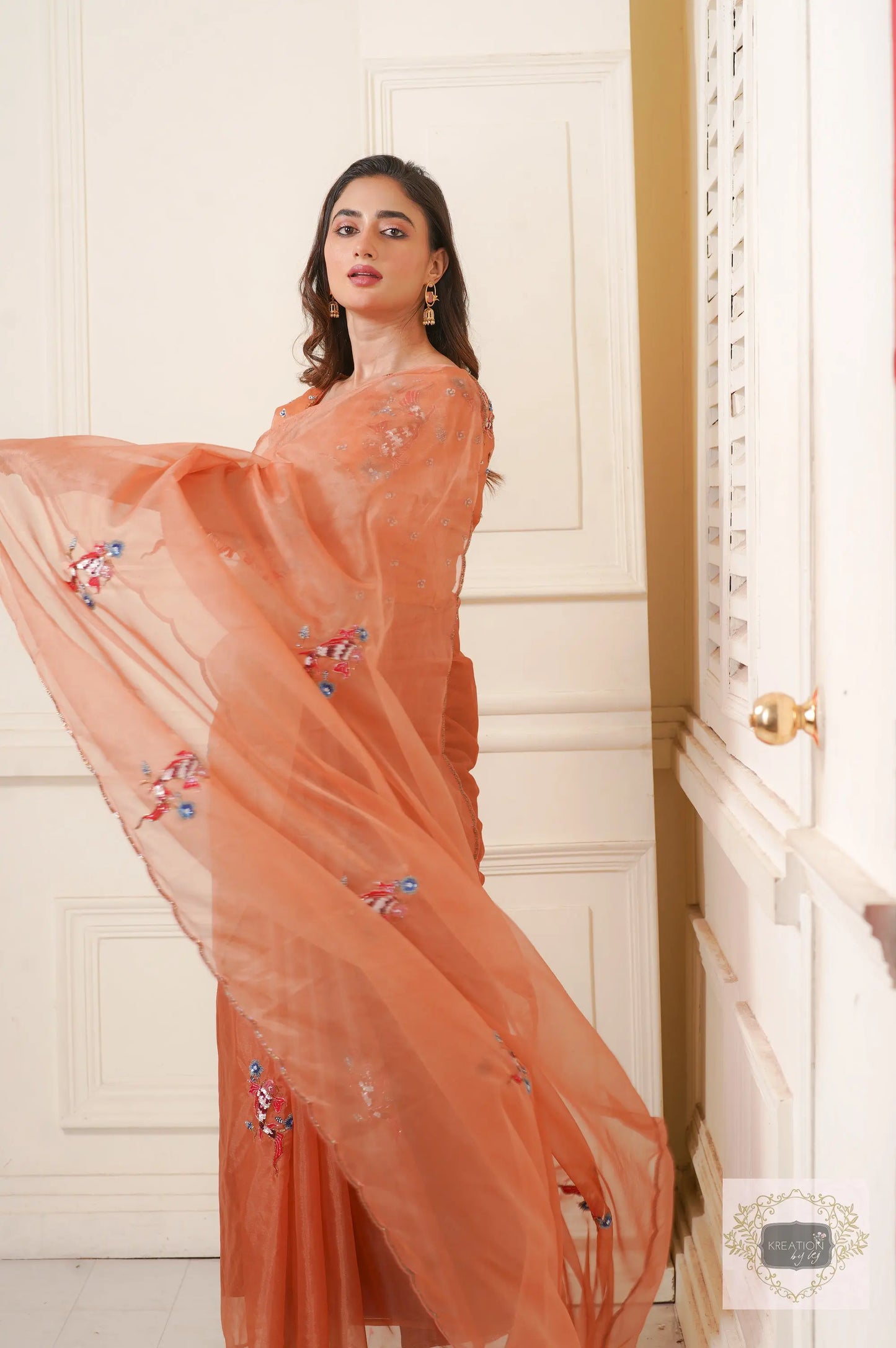 Rust Ying Yang Organza Saree kreationbykj