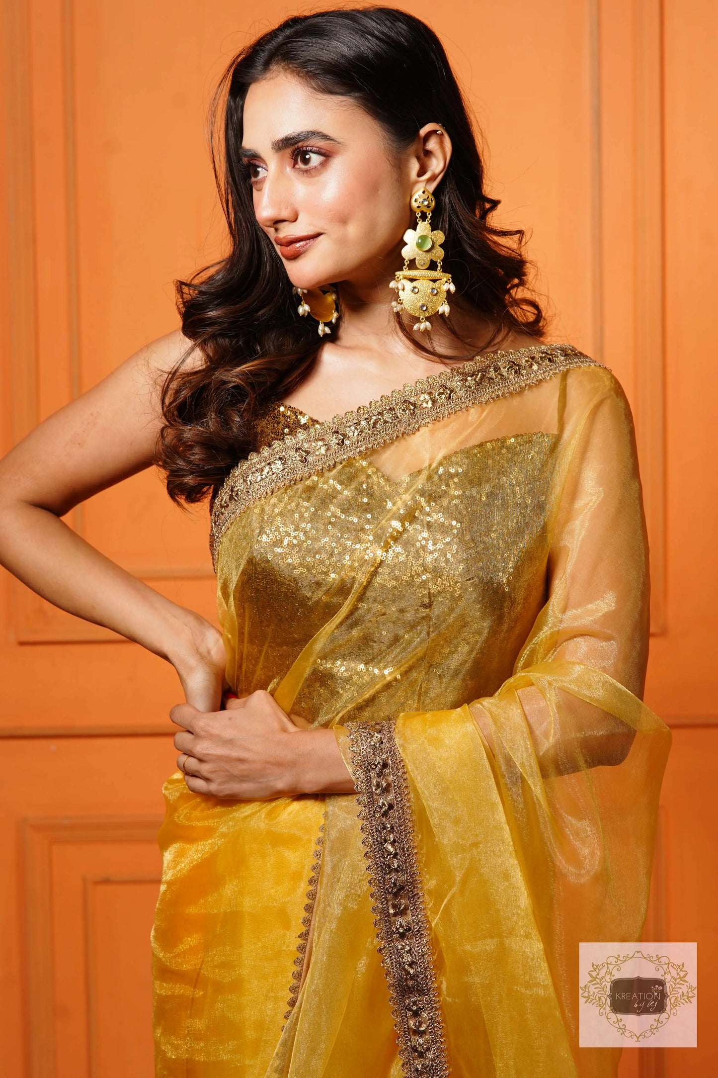 Golden Glass Tissue Saree with Border kreationbykj
