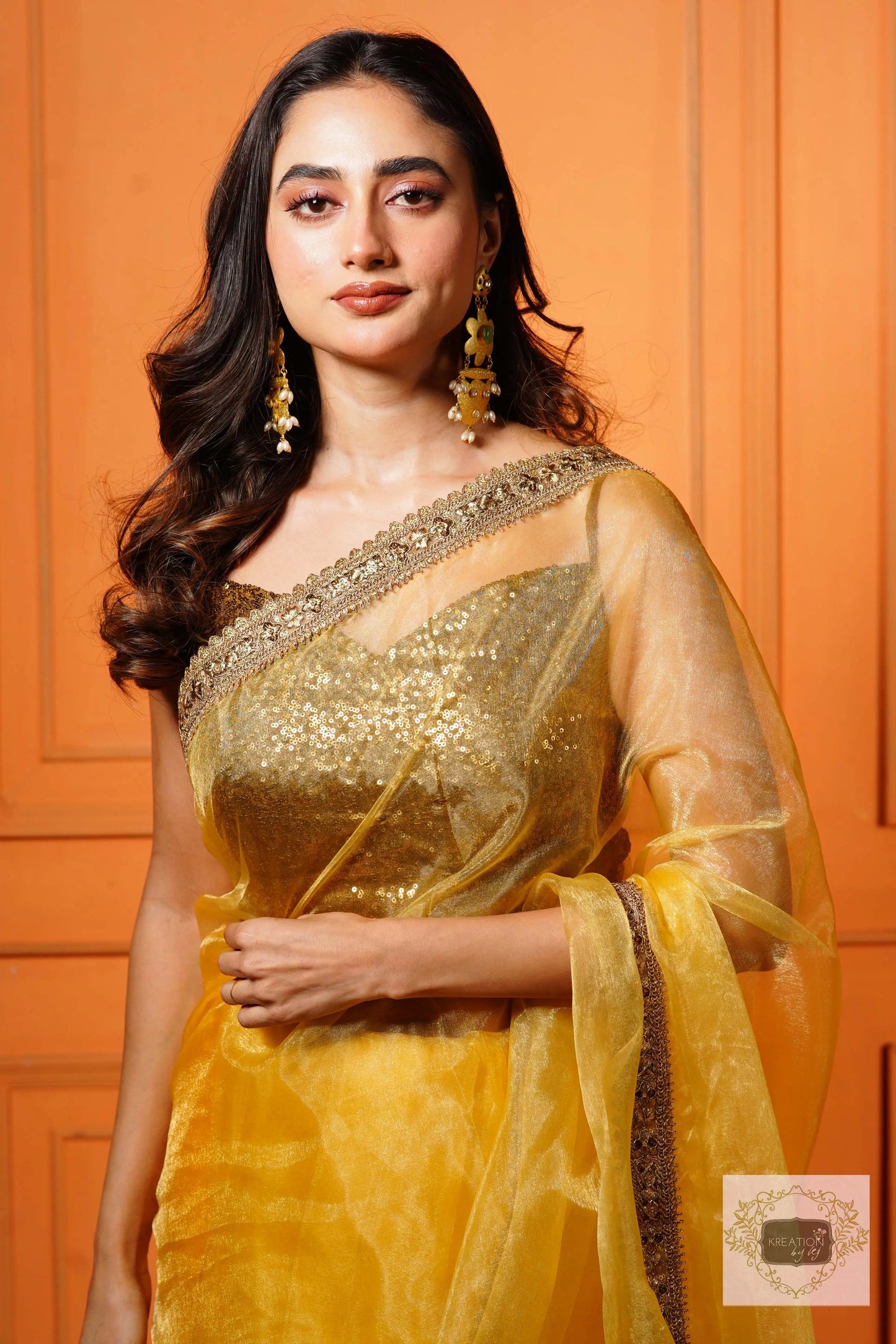 Golden Glass Tissue Saree with Border kreationbykj