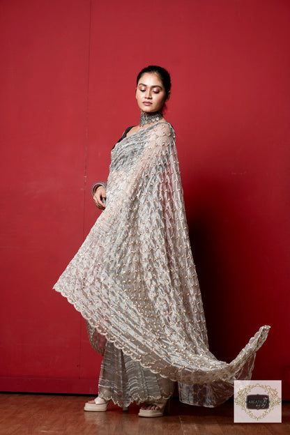 Silver Tissue Mehraab Jaal Saree