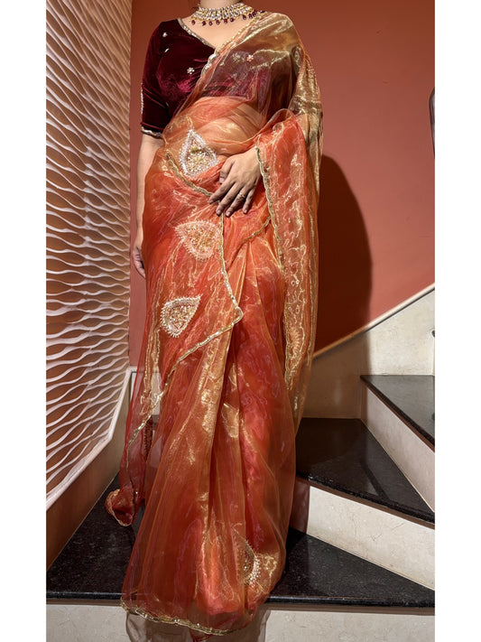 Raag Darbari Glass Tissue Saree with Zardosi Work