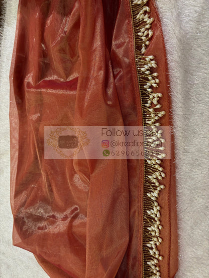 Caramel Tissue Net Saree