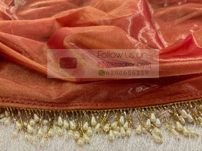 Caramel Tissue Net Saree