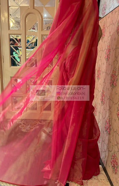 Rose Pink Tissue Net Saree