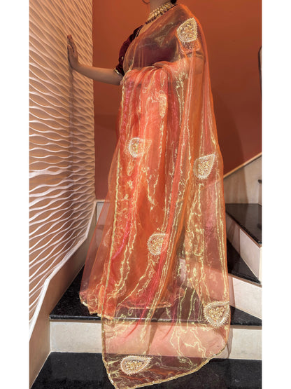 Raag Darbari Glass Tissue Saree with Zardosi Work