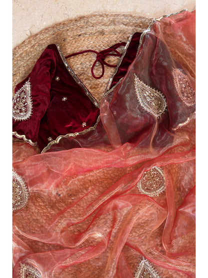 Raag Darbari Glass Tissue Saree with Zardosi Work