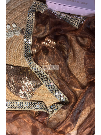 Copper Brown Glass Tissue Saree With Real Cut Mirror Border Kreation by KJ