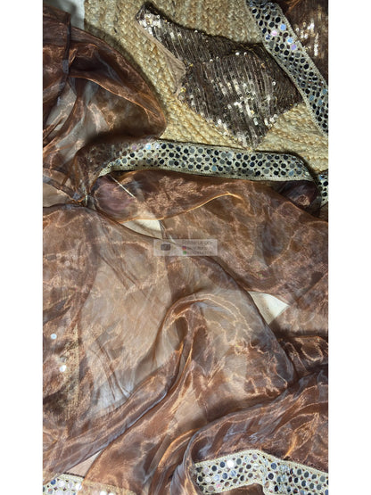 Copper Brown Glass Tissue Saree With Real Cut Mirror Border Kreation by KJ