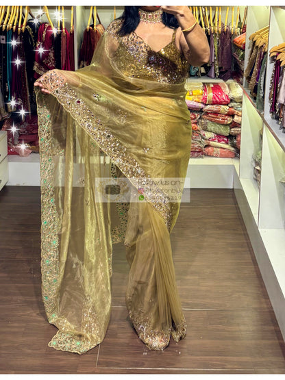 Pista Green Sheesh Mahal Saree