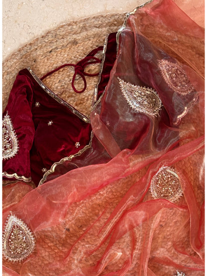 Raag Darbari Glass Tissue Saree with Zardosi Work