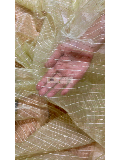 Pastel Green Organza Saree with Stripes