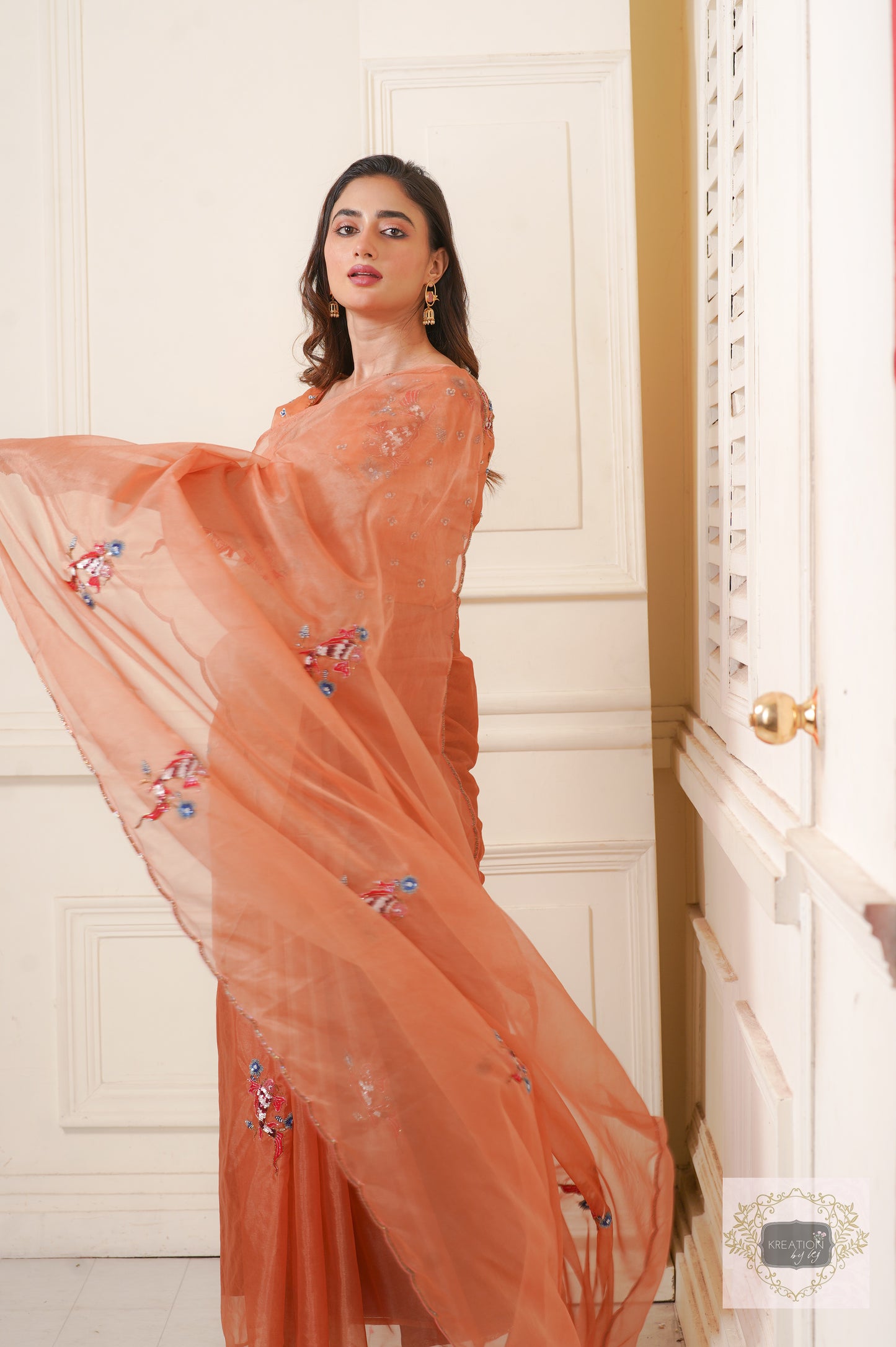 Rust Ying Yang Organza Saree