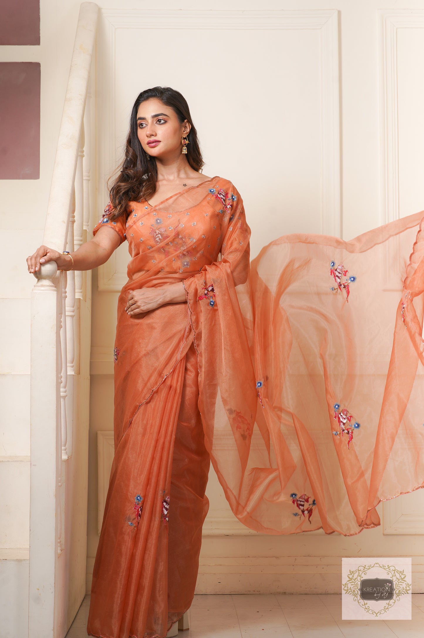 Rust Ying Yang Organza Saree