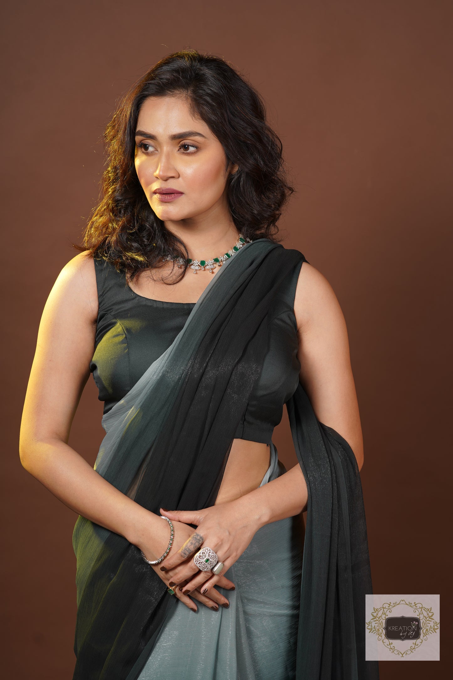 Cloudy Nights Crushed Organza Ombré Saree