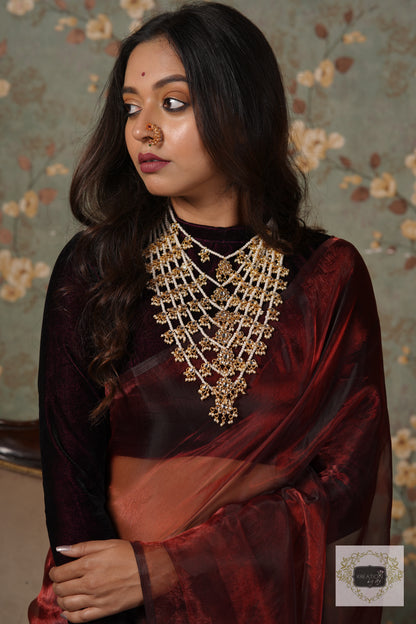 Maroon Glass Tissue Saree