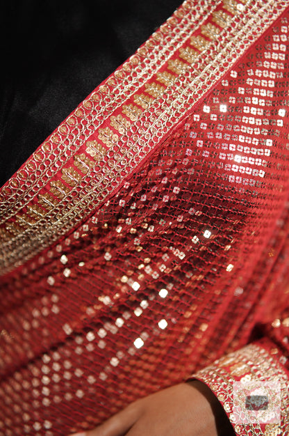 Ruby Radiance Sequins Saree