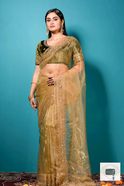 Pista Green Glass Tissue zarina Saree