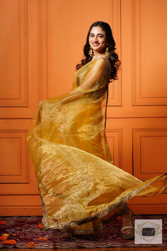 Golden Glass Tissue Saree with Border kreationbykj