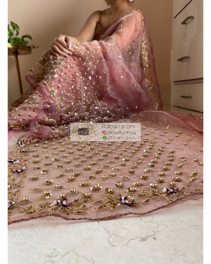 Rose Beige Badan pe Sitare Saree - kreationbykj